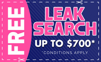 Coupon Leak Search $700